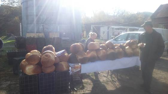  Painea de Pecica la mare cautare la festival, este admirata la o cafea de un vajnic vanator dar si de un plinut pescar care o pune in plasa pentru zilele care vin